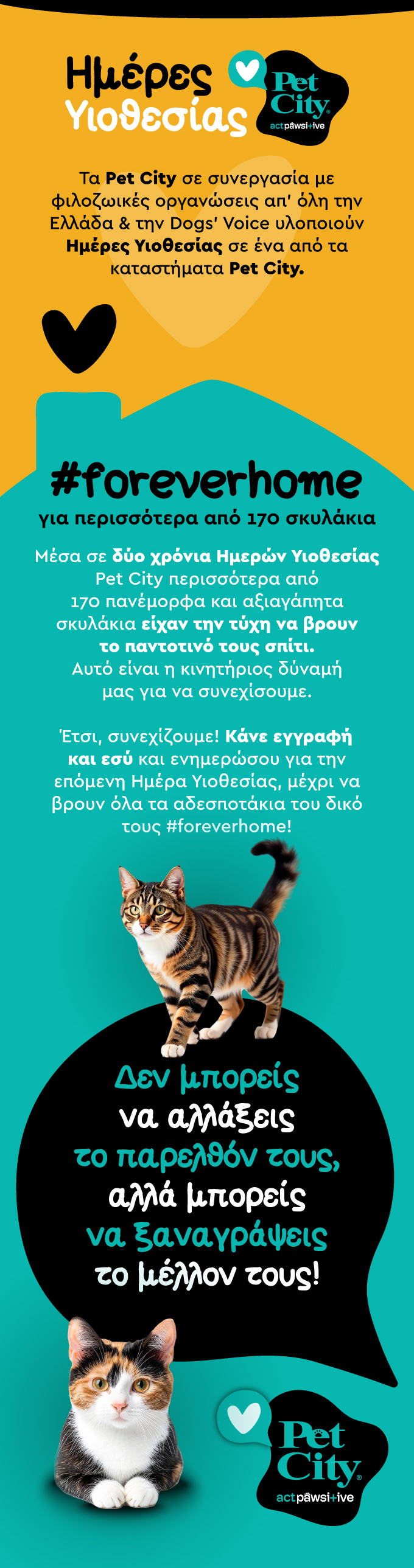 9th adoption day 