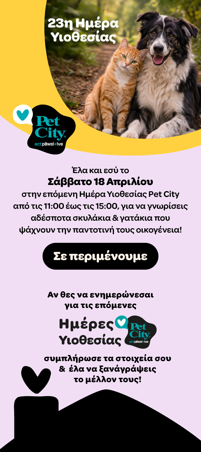 adoption_day_image