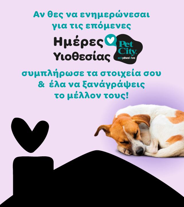 adoption_day_image